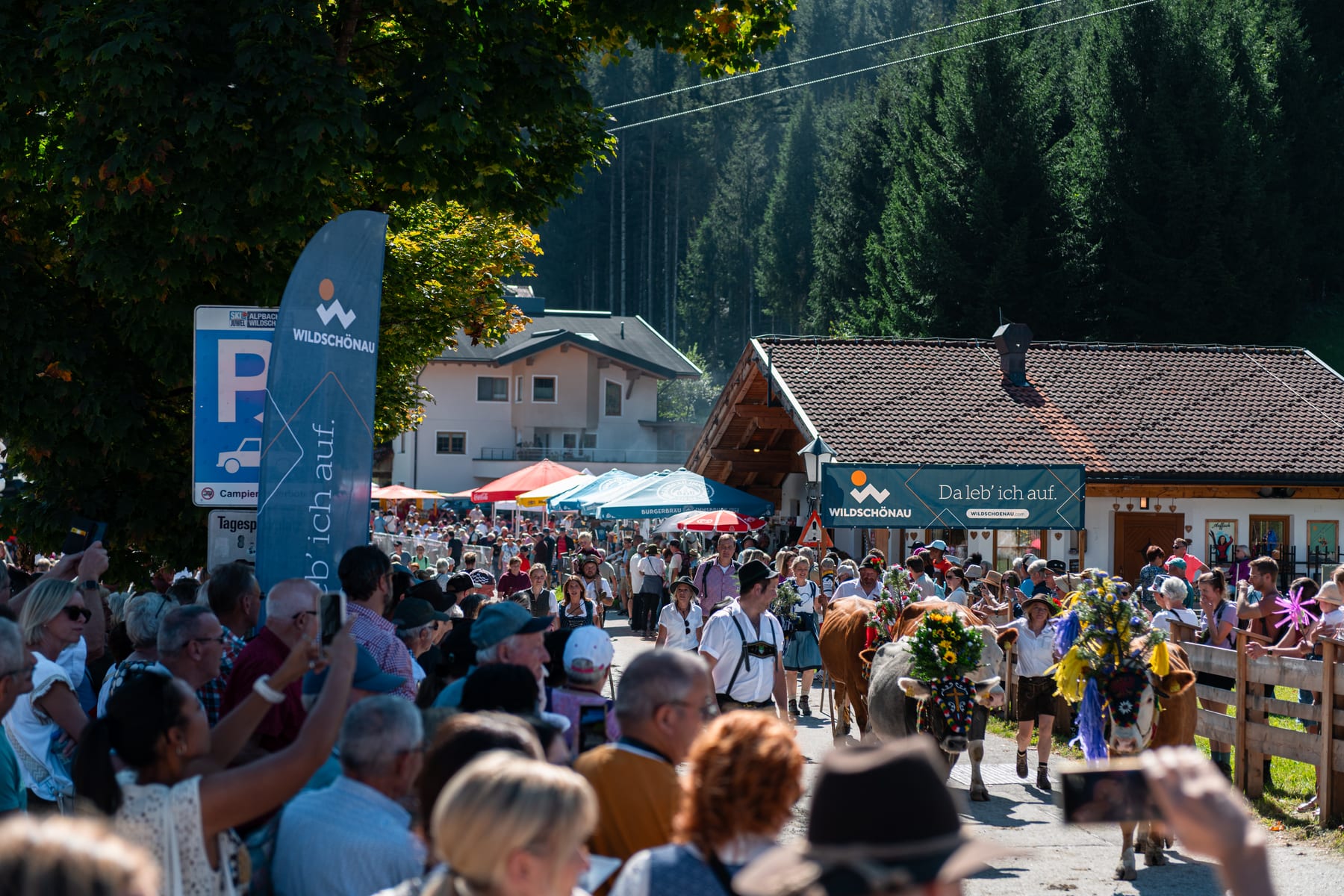 Almabtrieb Wildschönau